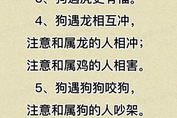 生肖属狗2025年的运势如何_2025年属狗的好不好 生肖属狗2025年的运势如何_2025年属狗的好不好