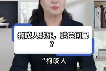 女人梦见狗咬右手是吉兆