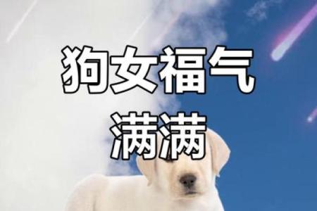 属狗女的命运怎么样_属狗的女生命运好不好