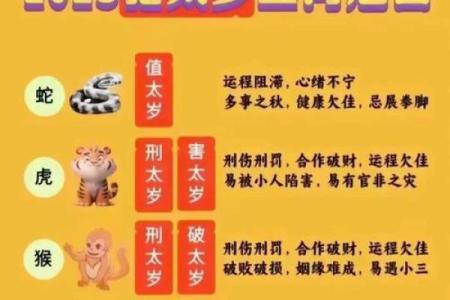 2025年属猪冲太岁_2025年属猪冲太岁运势解析及化解方法