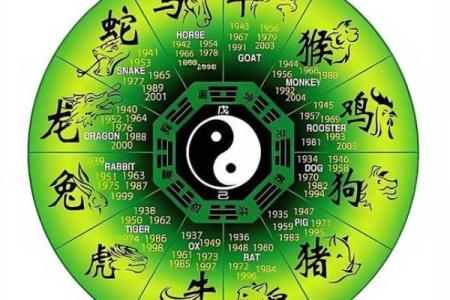 修炼成精打一正确生肖(修炼成精打一数字)