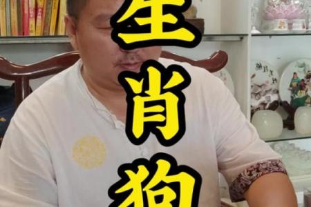 属狗的今年运势和财运怎么样_1994属狗的今年运势和财运怎么样