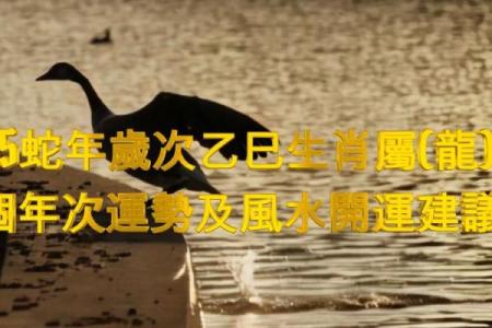 1988年腊月二十八属龙还是属蛇