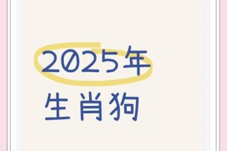 属狗人2025年年龄计算及运势解析