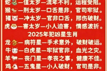 2025属马人全年运势详解每月运程与吉凶预测