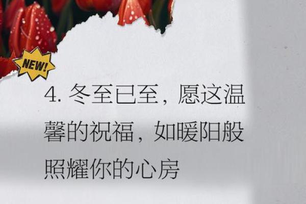 冬至适合发朋友圈的说说 冬至适合发朋友圈的说说