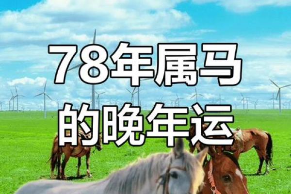 1978年属马人2015年运程详解运势解析与吉凶预测 1978年属马人2015年运程详解运势解析与吉凶预测