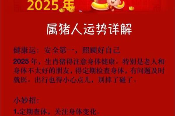 属猪2023年的运势及运程_属猪2023年的运势及运程男