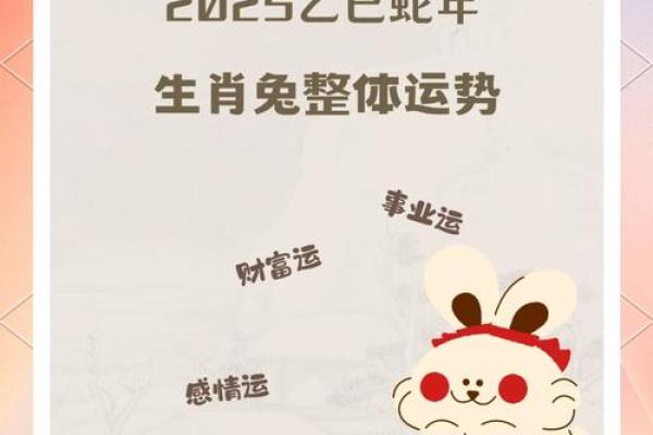 属兔2024年运势及运程1987年的兔 属兔2024年运势及运程1987年的兔几段婚姻