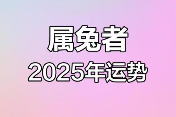 2025属兔全年运势_2025年的属兔人的全年运程
