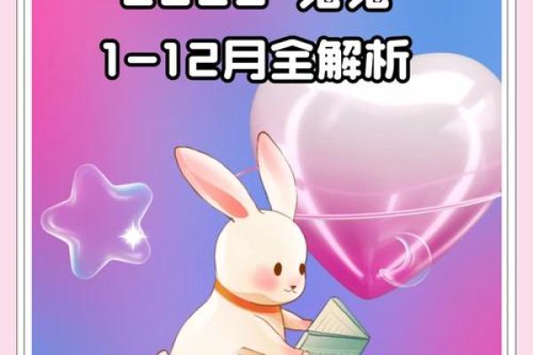 87年的兔2025年运势 2025年87年属兔人运势解析机遇与挑战并存