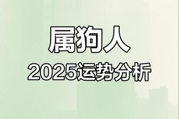 狗今年的运势如何2025 2025年狗年运势详解财运健康感情全解析 狗今年的运势如何2025 2025年狗年运势详解财运健康感情全解析