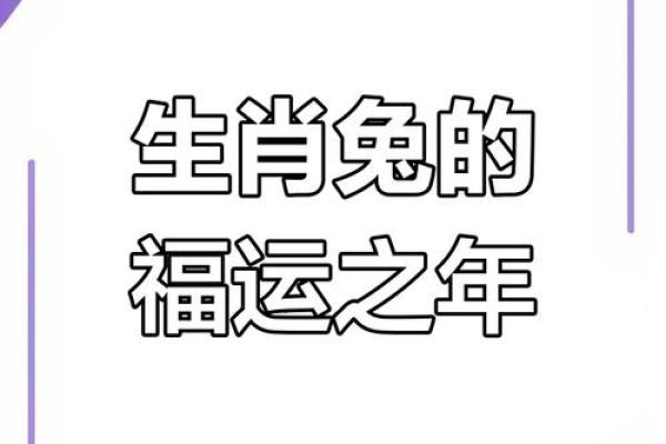 1987的兔2025年运势 1987兔2025年运势及运程