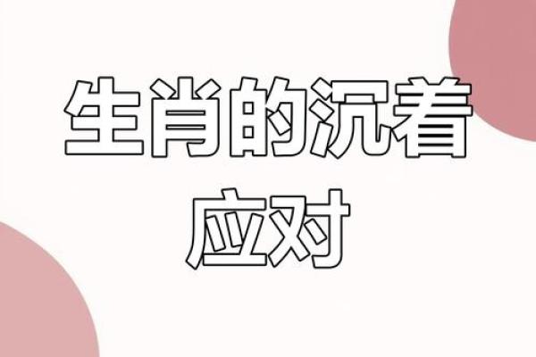 割须换袍是什么生肖(割须换袍是什么生肖)