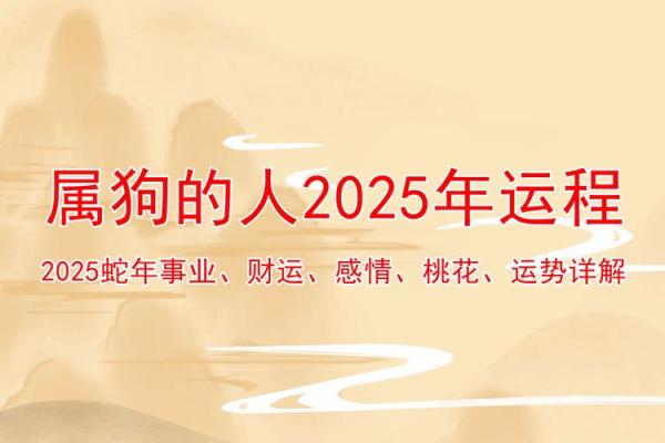 狗2025年运势及运程详解_2025年狗人运势运程1982年的狗