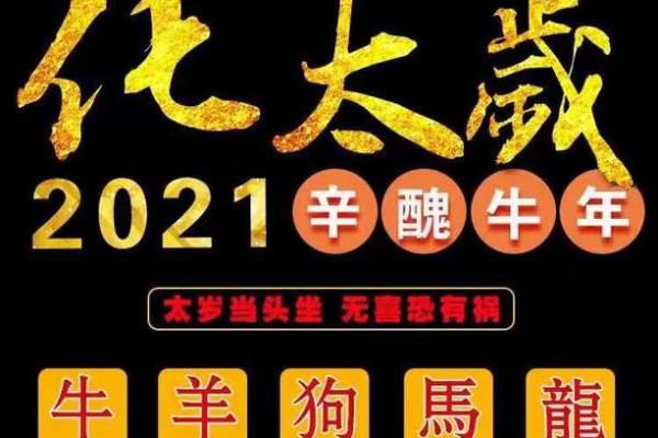 2021年4月哪天提新车属龙