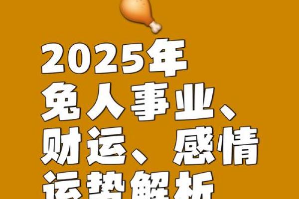 火兔2025年运势_87年火兔2025年运势