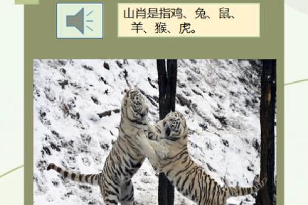 卧薪尝胆打一个生肖