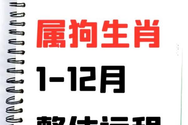 2025年属狗的多大年龄_1946年属狗的2025年多大
