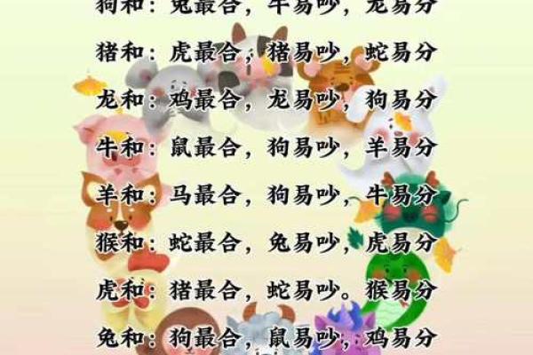 男兔与什么属相相合最好 男兔最佳婚配属相与哪些生肖最相合