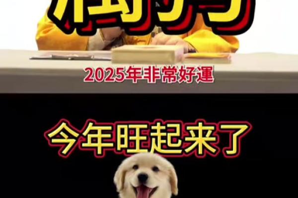 属狗2025年财运 70年属狗2025年财运
