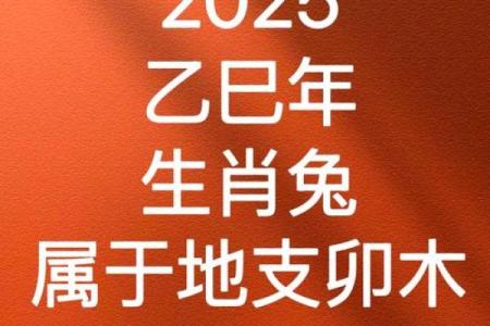 1987年属兔女2025年的运势及运程_1987年属兔女2025年运势详解运程走向与关键转折点