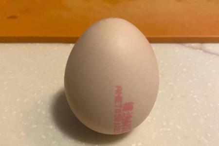 春分立蛋是生的还是熟的