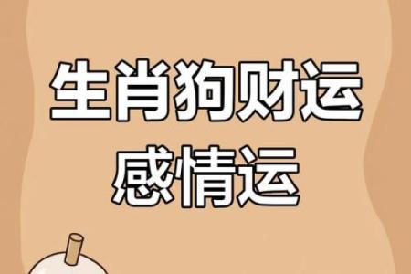 1970年属狗今日运势解析财运事业感情全揭秘