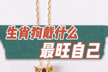 属狗2025戴什么转运_2025属狗戴什么最旺