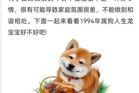 九四年狗五行属什么命 94年属狗31岁有一劫