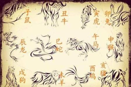 心急如火是什么生肖