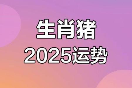 属猪的2025年运势如何 2025年71属猪人的全年运势如何