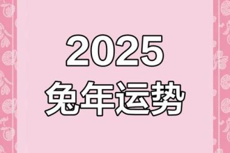 属兔2025年必有一难_2025年属兔人必有一难如何化解与应对
