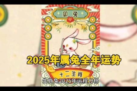 2025年属兔的多少岁 2025年属兔的人今年多少岁年龄计算全解析