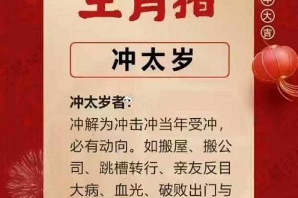 属猪人蛇年运程解析财运事业爱情全攻略