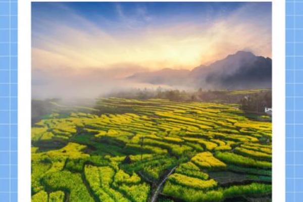 寸草春晖是什么生肖(寸草春晖的生肖是什么) 寸草春晖是什么生肖(寸草春晖的生肖是什么)