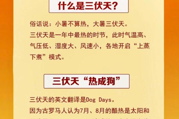 2021年几点入伏 2021年几点入伏