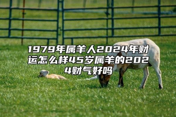 1979年属羊男人2025年运势及运程_79年属羊男2024年运势