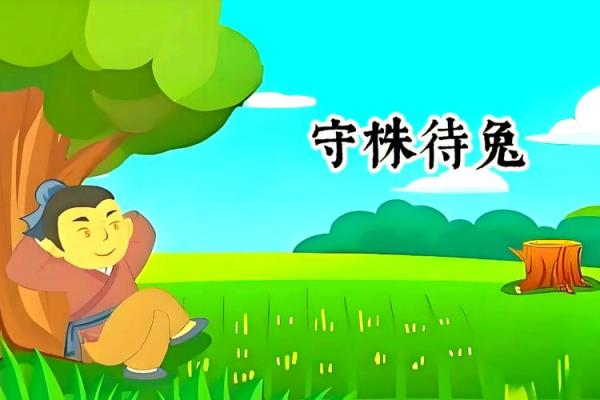 守株待兔是什么生肖