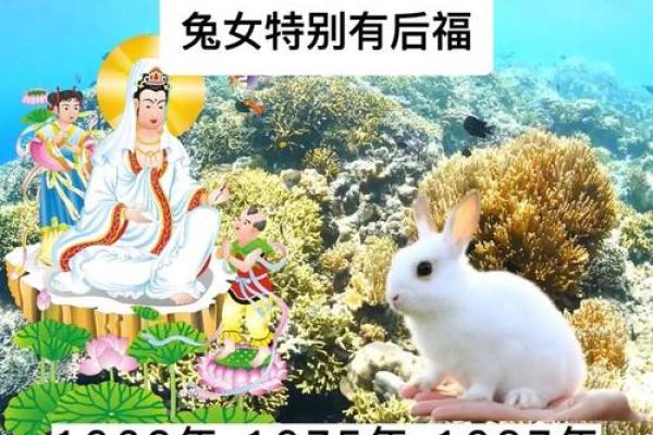 属兔的2021年开门大吉时间 属兔的2021年开门大吉时间