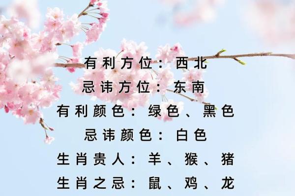 2024年属兔人每月运势详解全年运程预测 2024年属兔人每月运势详解全年运程预测