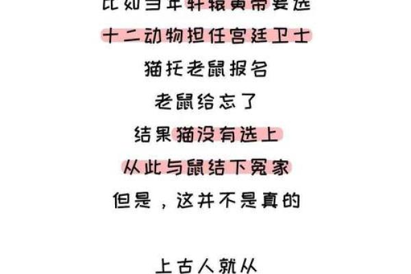 英才盖世打一生肖