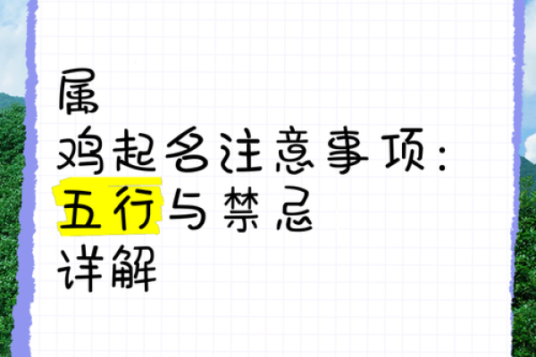 1981年属鸡五行属性解析金木水火土全揭秘