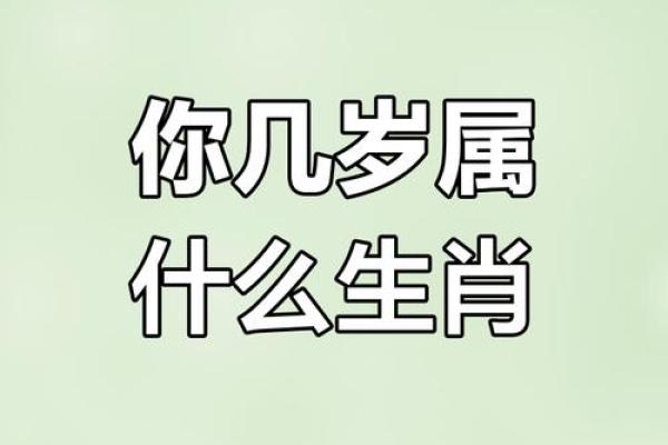 喜形于色是什么生肖