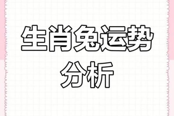 1987年男兔2025年运势详解事业财运爱情全解析 1987年男兔2025年运势详解事业财运爱情全解析