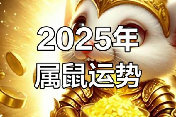 2025年属鼠人的全年运势1984年出生女 2025年属鼠人的全年运势1984年出生女