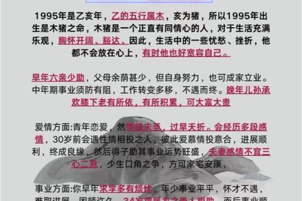 2025年属猪年龄 2025年属猪人年龄详解及运势分析