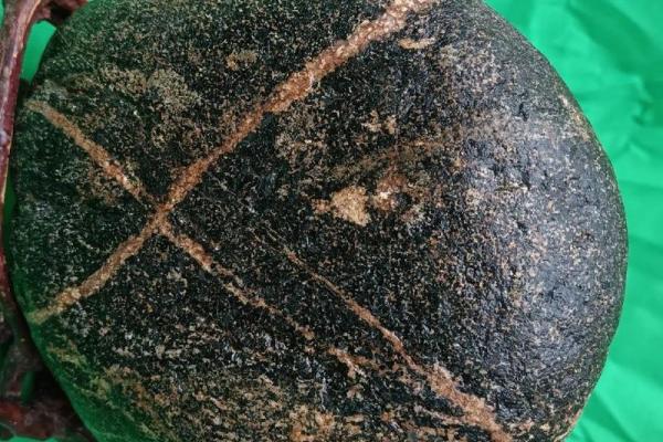 义上云天是什么生肖(义云) 义上云天是什么生肖(义云)