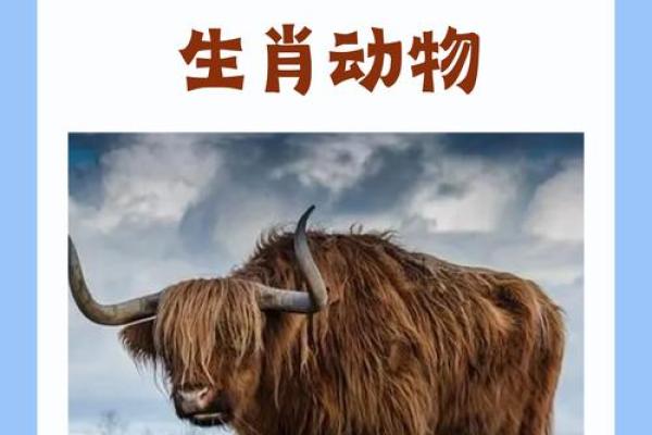 临危不惧是什么生肖 临危不惧是什么生肖