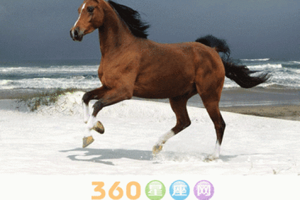 1990年属马的五行属性是什么 1990年属马的在五行里属于什么 1990年属马的五行属性是什么 1990年属马的在五行里属于什么